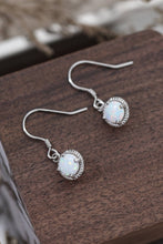 Load image into Gallery viewer, Join The Fun Opal Earrings
